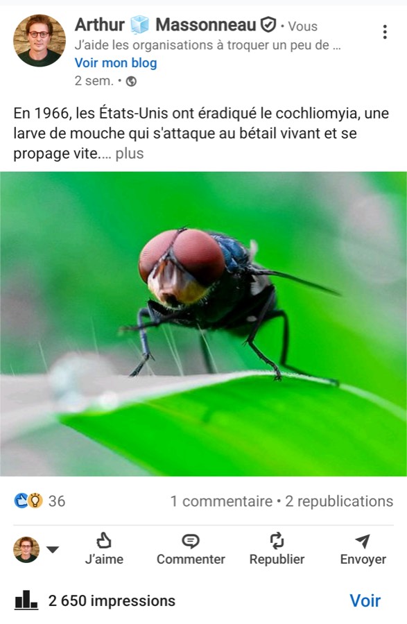 Post sur l'éradication de la lucilie bouchère aux États-Unis en 1966
